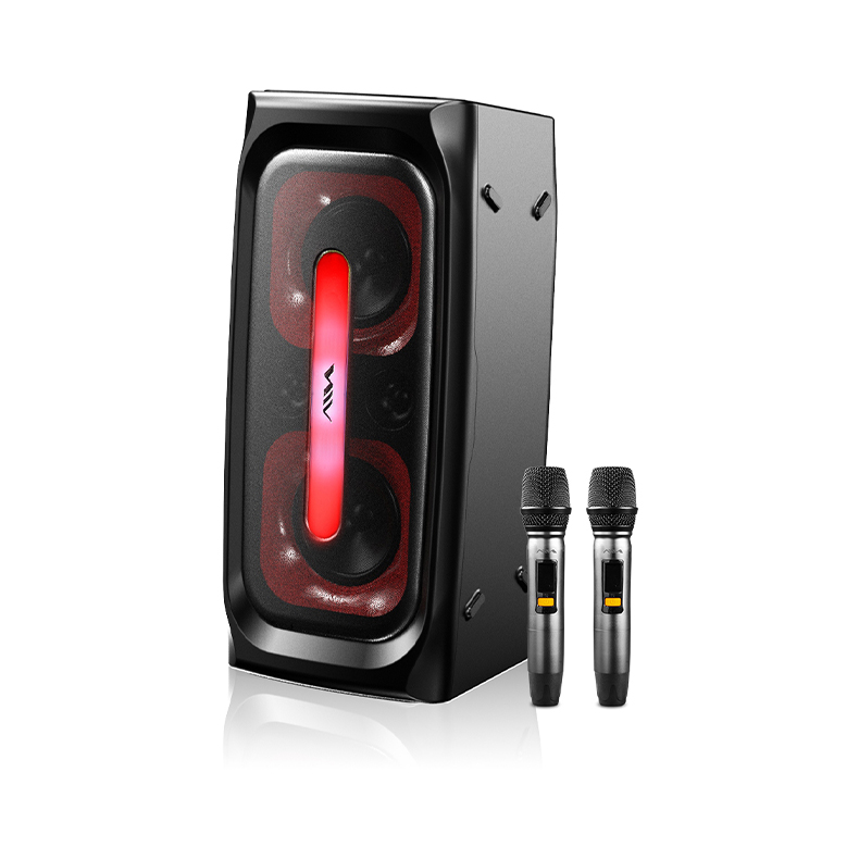 SS-X300DSP PRO High Quality Sp - Sports Equipment Japan 评论和价格